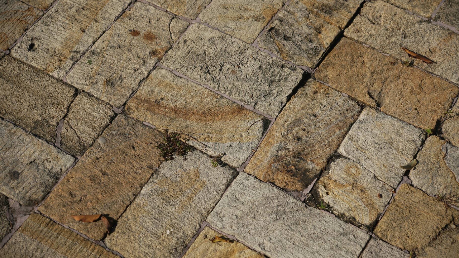 Paver Repair vs. Replacement: What Oakland County Homeowners Should Know
