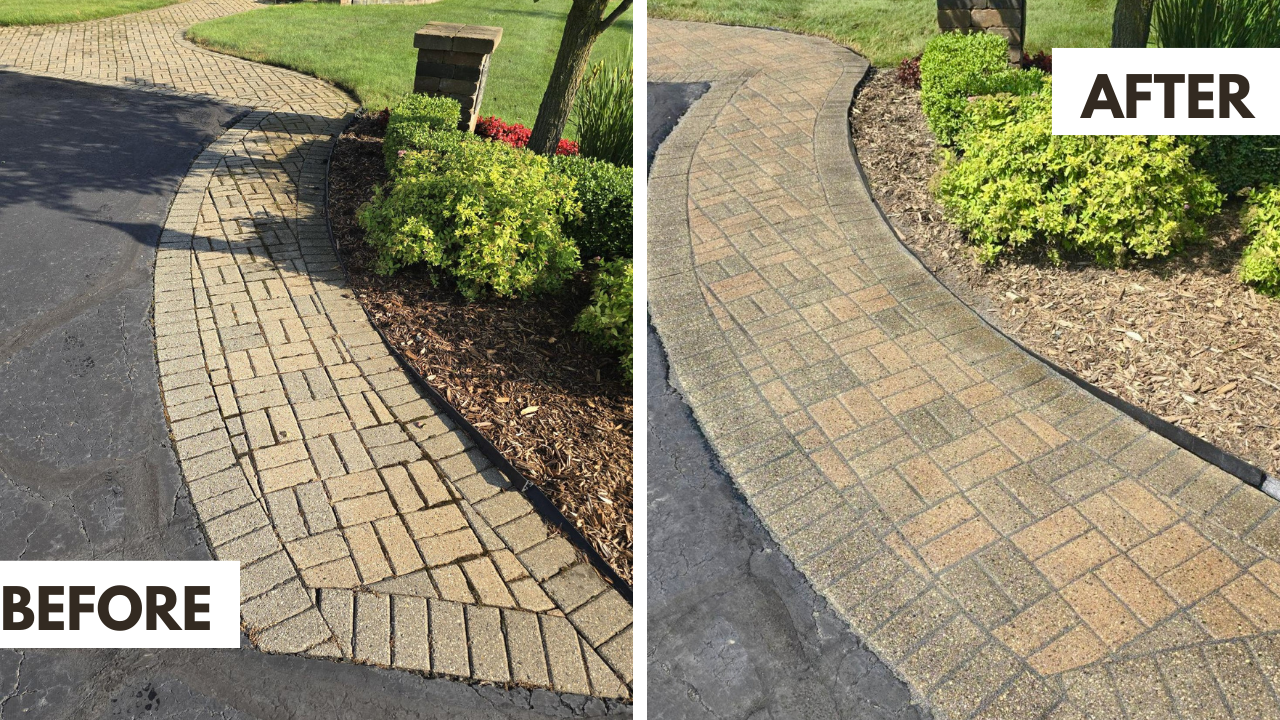 Paver Restoration – Photo 3