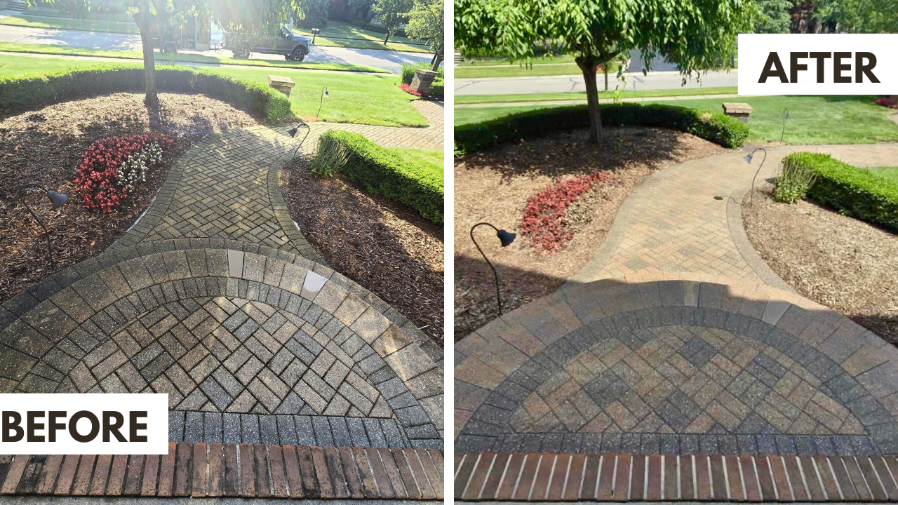 Paver Restoration – Photo 6