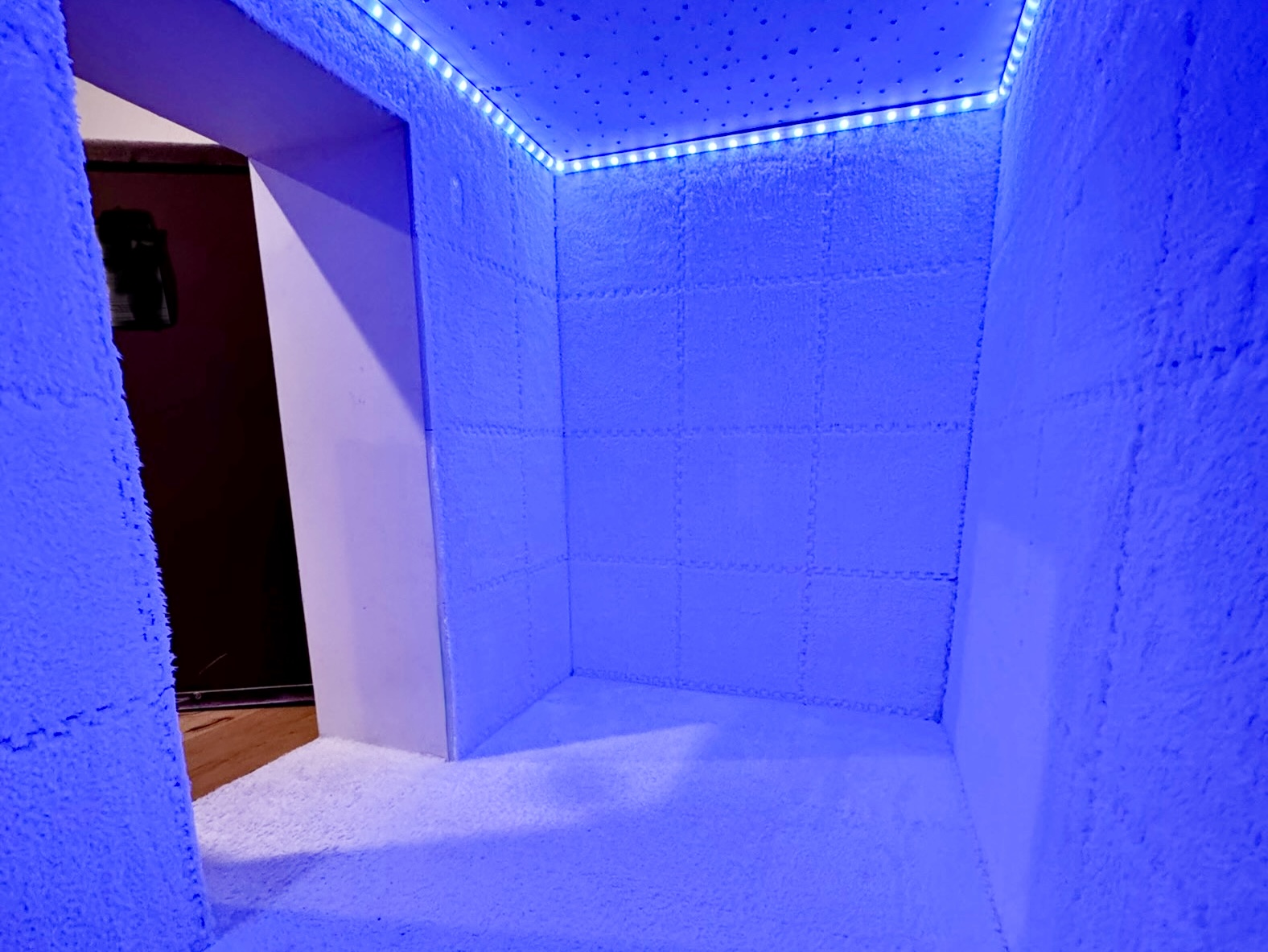 Finished Basement & Kids' Secret Room – Photo 5