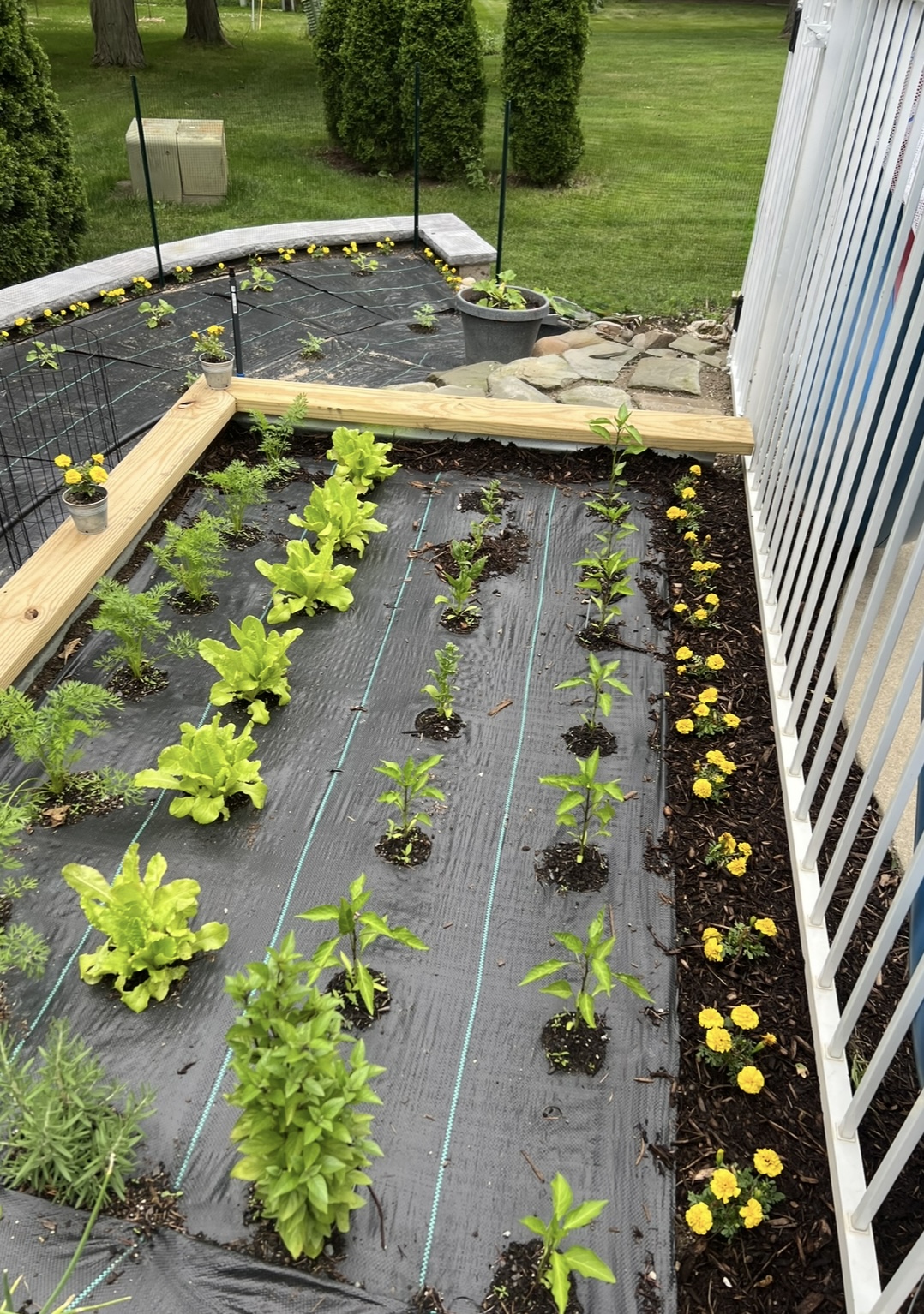 Paver Patio, Stairs & Garden Build – Photo 7